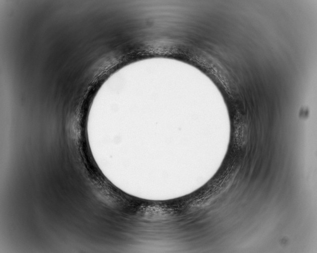 X0000103930635200810101354