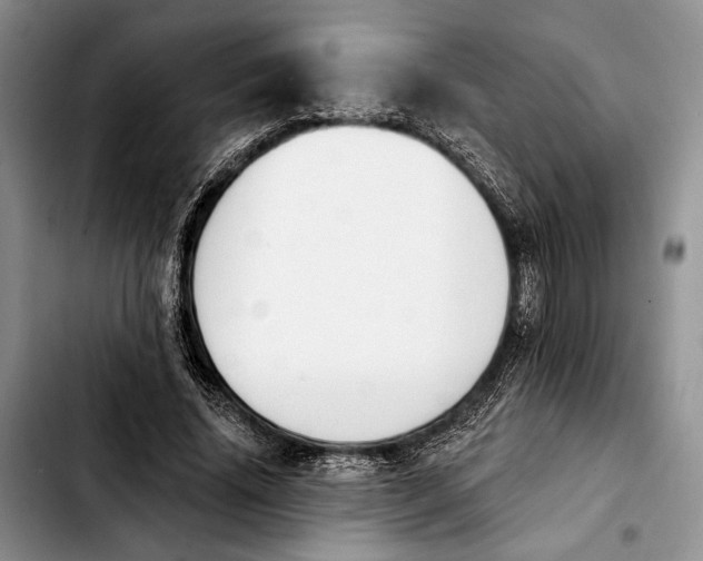 X0000103930636200810101354