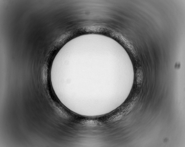 X0000103930637200810101354