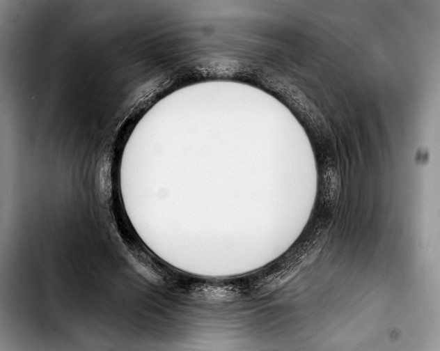 X0000103930638200810101354