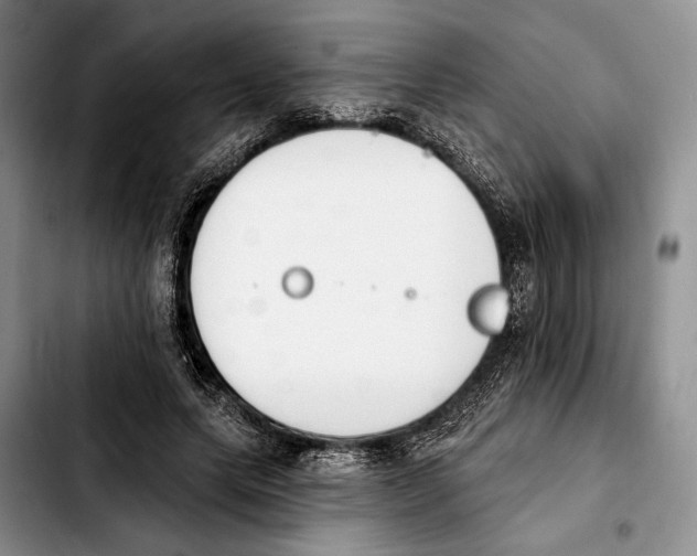 X0000103930639200810101354