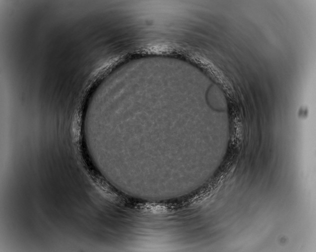 X0000103930640200810101354