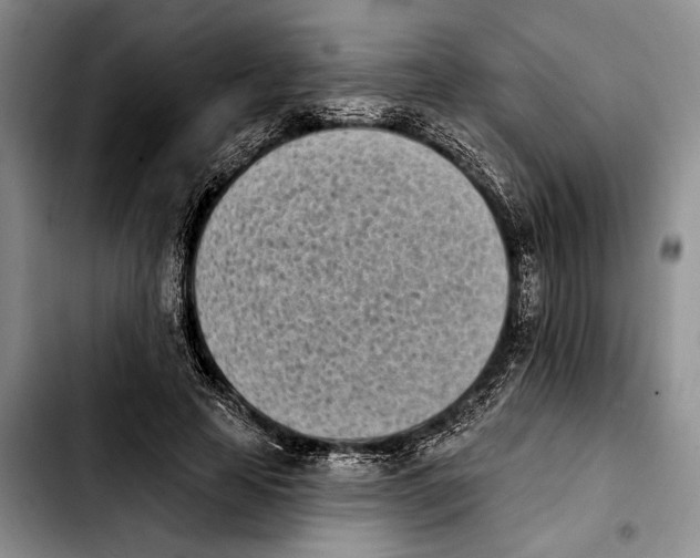 X0000103930641200810101354