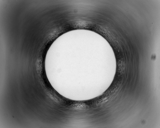 X0000103930642200810101354