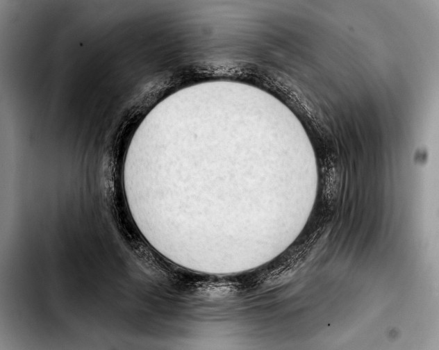 X0000103930643200810101354