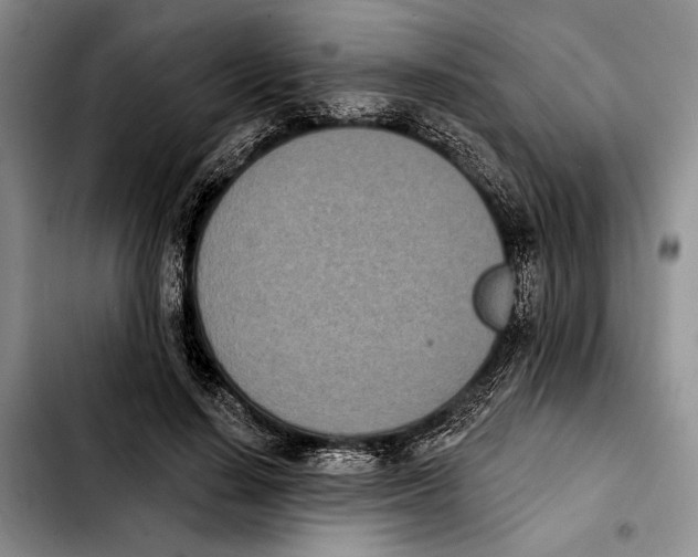 X0000103930644200810101354