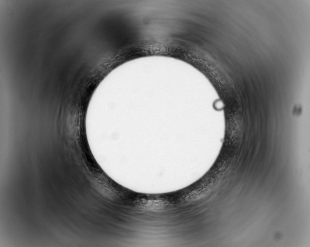 X0000103930645200810101354