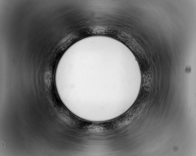 X0000103930648200810101354