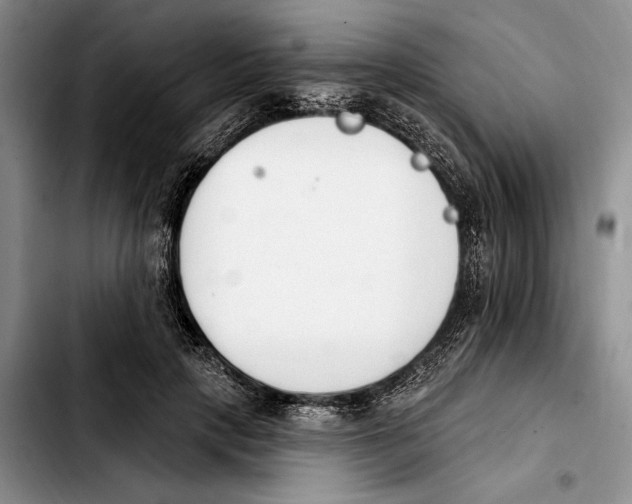 X0000103930649200810101354