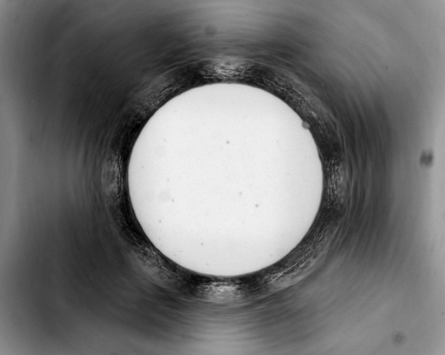 X0000103930651200810101354