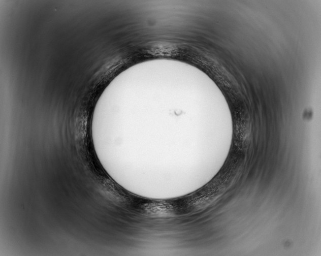 X0000103930652200810101354