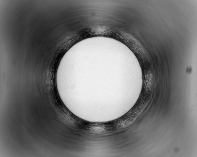 X0000103930653200810101354