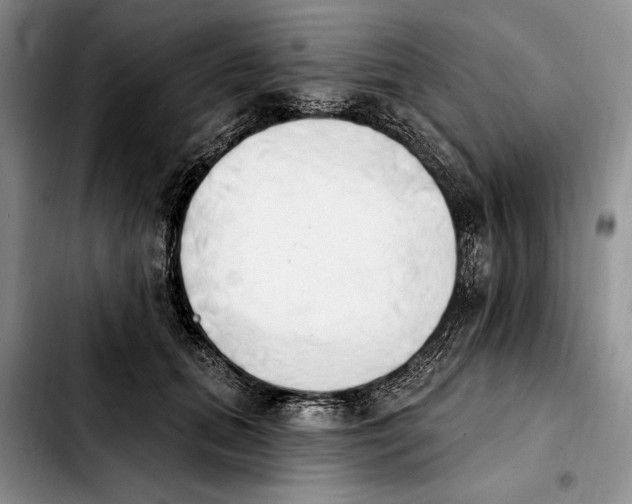 X0000103930655200810101354