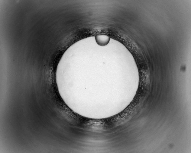 X0000103930659200810101354