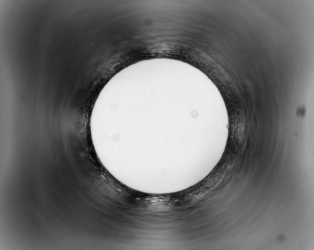 X0000103930660200810101354