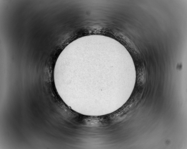 X0000103930661200810101354