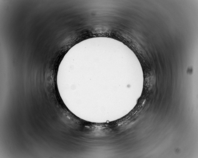 X0000103930662200810101354