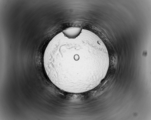 X0000103930663200810101354