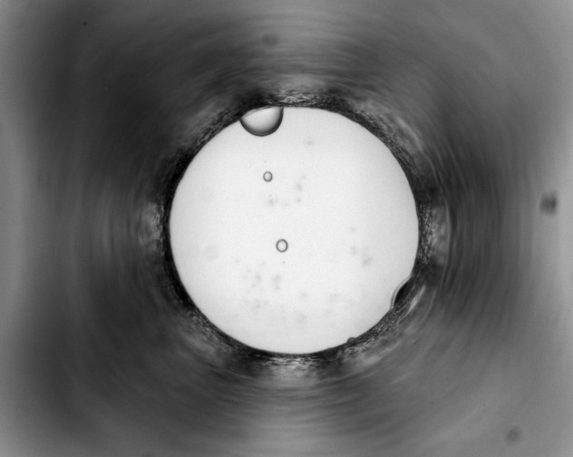 X0000103930667200810101354