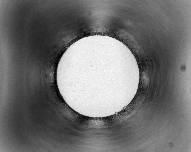 X0000103930668200810101354