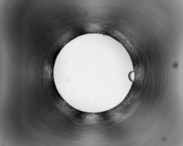 X0000103930669200810101354