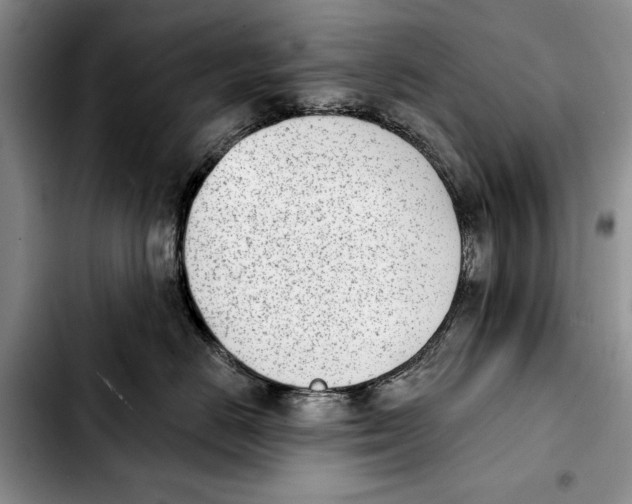 X0000103930670200810101354