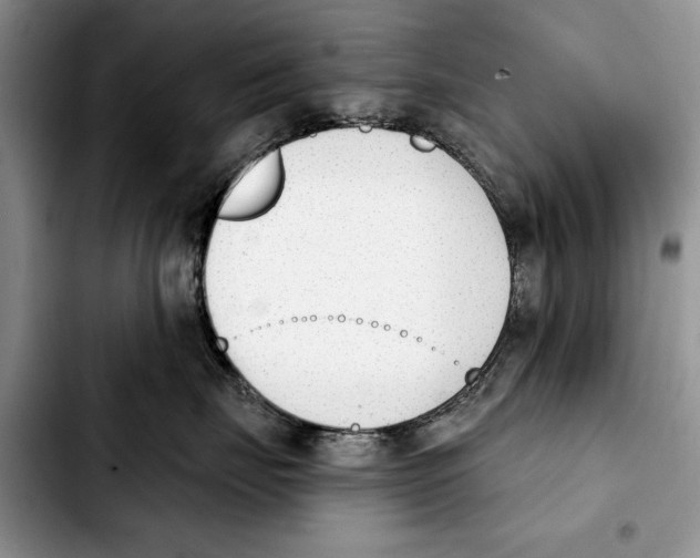 X0000103930671200810101354