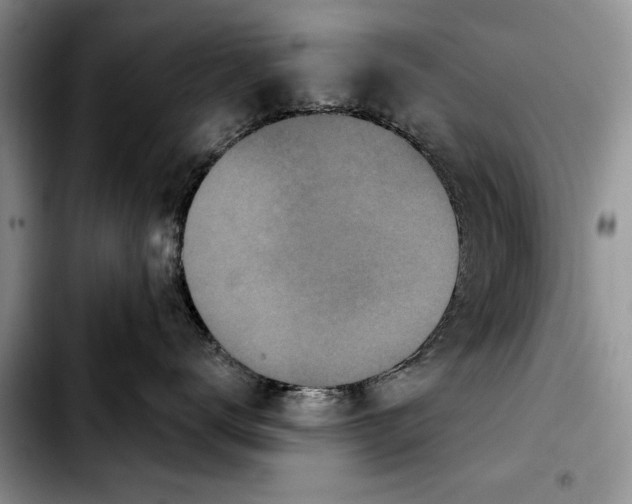 X0000103930672200810101354