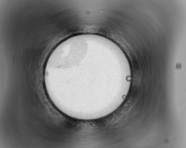 X0000103930673200810101354