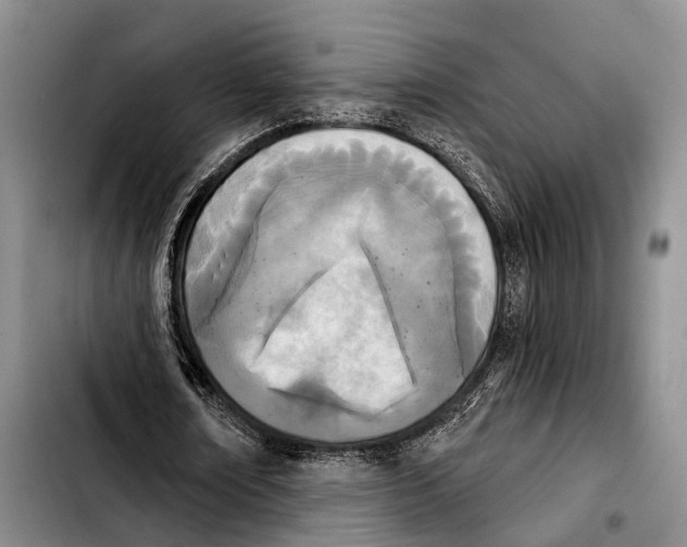 X0000103930674200810101354