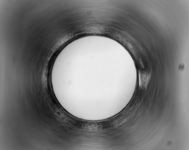 X0000103930675200810101354