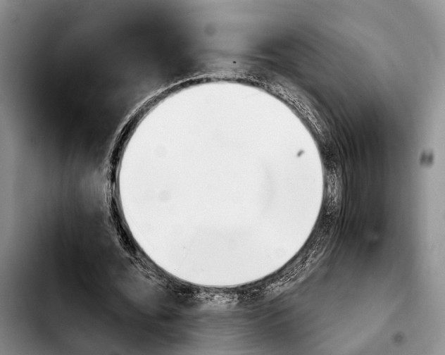 X0000103930676200810101354