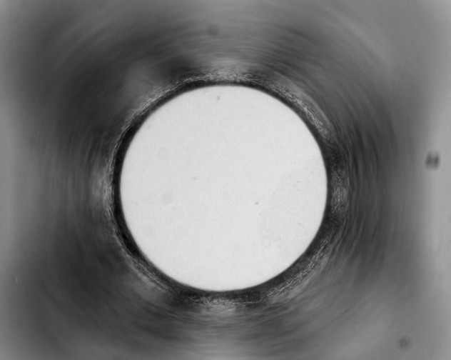 X0000103930677200810101354