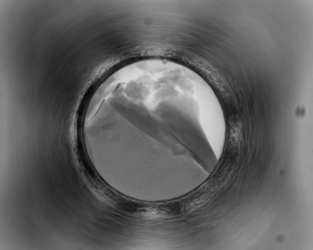 X0000103930678200810101354