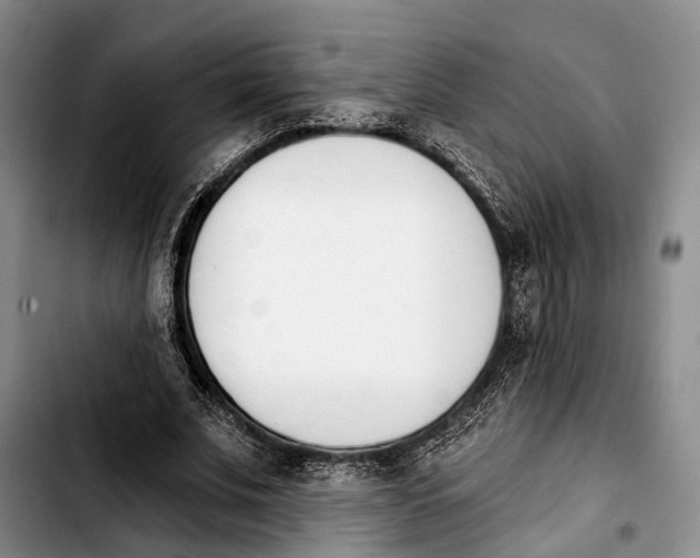 X0000103930679200810101354