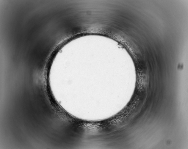 X0000103930680200810101354