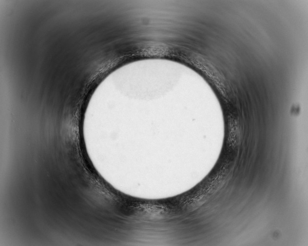 X0000103930681200810101354