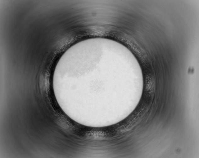 X0000103930685200810101354