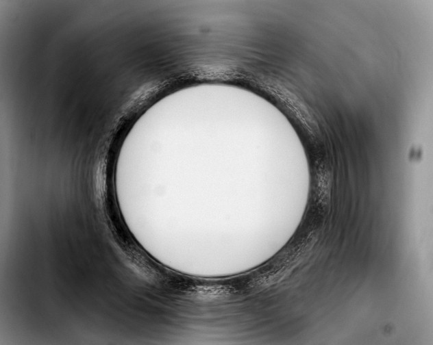 X0000103930686200810101354