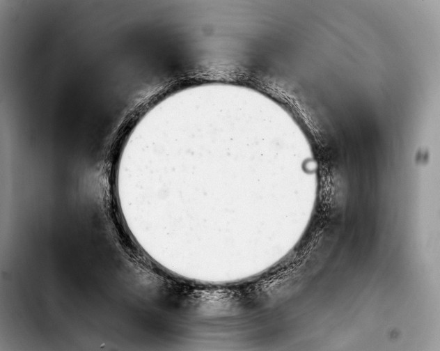 X0000103930688200810101354