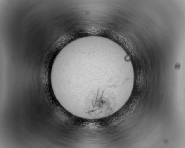 X0000103930689200810101354