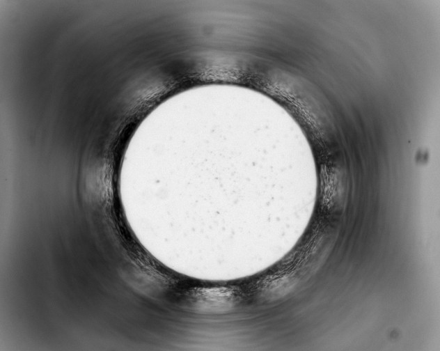 X0000103930692200810101354