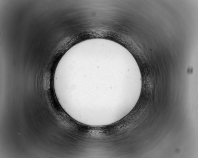 X0000103930694200810101354