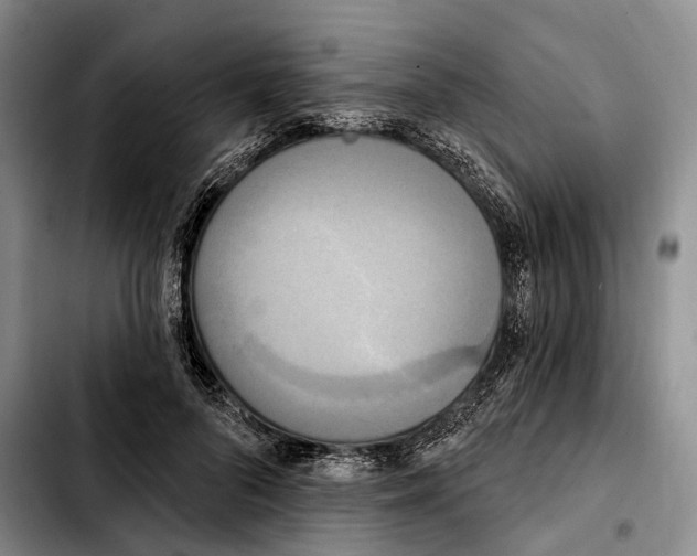 X0000103930696200810101353