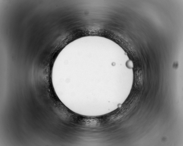 X0000103930698200810101353