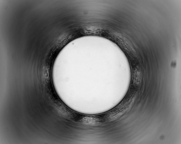 X0000103930699200810101353