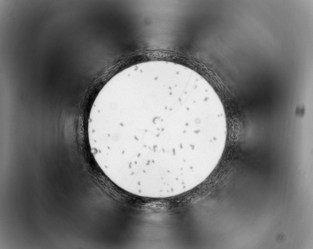 X0000103930700200810101353