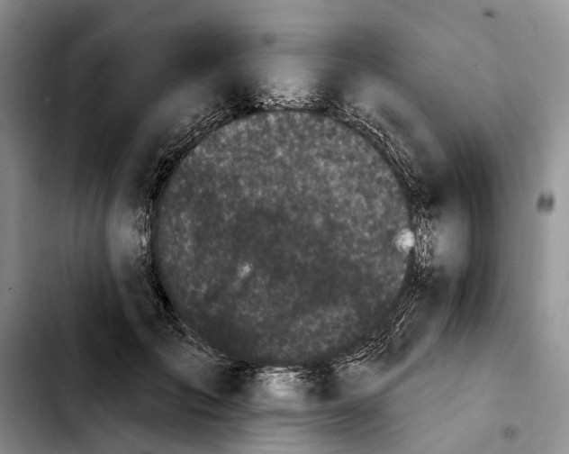 X0000103930701200810101353