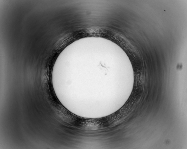 X0000103930702200810101353