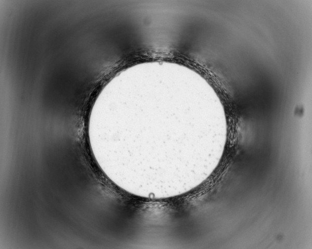 X0000103930704200810101353